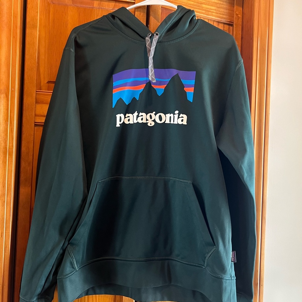 Patagonia Forest Green Hoodie with Logo - Picture 1 of 11